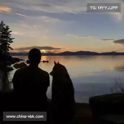 罗福艺